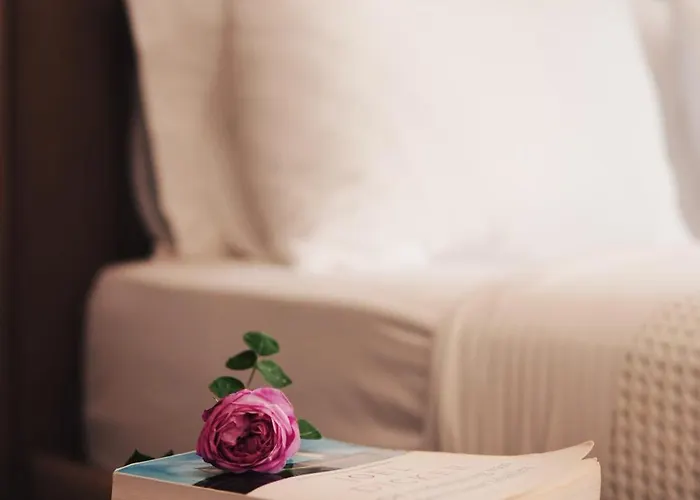 Hotel Nerium 卡萨米尔