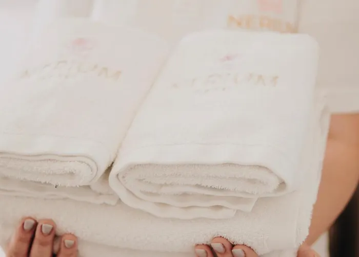 Hotel Nerium 3* Ксамил